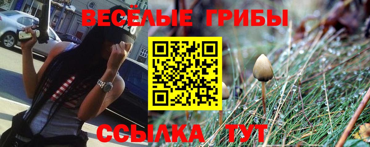 Псилоцибиновые грибы Magic Shrooms  Галлюциногенные грибы Psilocybine cubensis  Глазов  Вход с VPN 